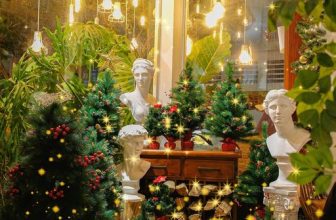 [☕️🇻🇳] Oromia Coffee – Lounge🥤 Top1Coffee ☕️ Mỗi ngày khoe một góc mới, shares-2✔️ , likes-184❤️️ , date-2023-11-02 14:57:41🇻🇳🇻🇳🇻🇳📰🆕