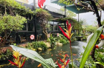 [☕️🇻🇳]  Minh Coffee 🥤 Top1Coffee ☕️ Hôm nay trời nắng lại rồi Đồng Hới xinh đẹp, shares-0✔️ , likes-31❤️️ , date-2023-10-31 00:33:44🇻🇳🇻🇳🇻🇳📰🆕