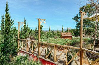 [☕️🇻🇳] Ngày của Nắng Coffee+ 🥤 Top1Coffee ☕️ Đà Lạt chuyển mình vào tháng 11, trời ít mưa hơn, không khí cũng lạnh hơn, gió nhẹ nhàng… làm Nắng liên tưởng tới M1 tết! Lòng h , shares-0✔️ , likes-25❤️️ , date-2023-11-06 04:37:51🇻🇳🇻🇳🇻🇳📰🆕