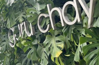 [☕️🇻🇳] Windmills Coffee Đà Lạt – Trà sữa Ly Chai 🥤 Top1Coffee ☕️ Windmills Coffee x Nhà Hàng Chay Guru  Sau những ngày tụi mình loay hoay tìm một nơi cư ngụ mới của Windmills, thì thật may mắn  , shares-0✔️ , likes-14❤️️ , date-2023-11-04 04:05:55🇻🇳🇻🇳🇻🇳📰🆕