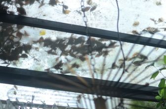 [☕️🇻🇳] PHD Book – Coffee 🥤 Top1Coffee ☕️ Hôm nay 10.11.23 quán mở cửa tới 18h thôi bạn nhé.
Cảm ơn bạn!, shares-0✔️ , likes-25❤️️ , date-2023-11-10 05:08:39🇻🇳🇻🇳🇻🇳📰🆕