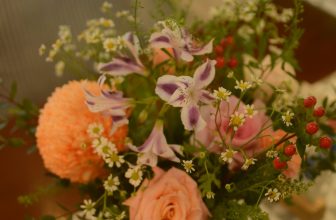 [☕️🇻🇳] PHD Book – Coffee 🥤 Top1Coffee ☕️ Thi thoảng, khách đặt bánh và muốn ngồi lại đây luôn.
“Em cần một góc nhỏ yên tĩnh!”, shares-2✔️ , likes-50❤️️ , date-2023-11-11 04:28:36🇻🇳🇻🇳🇻🇳📰🆕