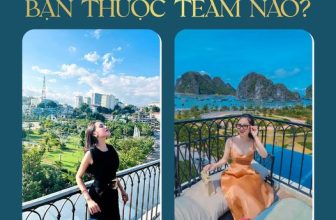 [☕️🇻🇳] 1988 Coffee – Bar 🥤 Top1Coffee ☕️ Bạn thuộc team nào??
Checkin view thành phố
Checkin view vịnh Dù ở team nào thì chỉ cần đứng ở rooftop tại 1988 thả dáng là có , shares-1✔️ , likes-24❤️️ , date-2023-11-11 07:30:00🇻🇳🇻🇳🇻🇳📰🆕