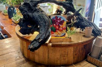 [☕️🇻🇳] An Cafe – Ăn uống và cafe đúng chất Đà Lạt 🥤 Top1Coffee ☕️  Một ngày yên bình nhưng bận rộn tại An CaFe _ Đà Lạt 8/11/2023  A peaceful but busy weekday in An CaFe _ Dalat, Nov 8, 2023, shares-0✔️ , likes-6❤️️ , date-2023-11-08 09:03:46🇻🇳🇻🇳🇻🇳📰🆕