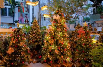 [☕️🇻🇳] Oromia Coffee – Lounge🥤 Top1Coffee ☕️ Mấy nay khách nào cũng hỏi:
– “Quán bán thông hả e”
– “Dạ hông, tụi em mua về trang trí quán thôi”
Thiệt ra thì quán hơi bự, , shares-9✔️ , likes-134❤️️ , date-2023-11-07 14:55:51🇻🇳🇻🇳🇻🇳📰🆕