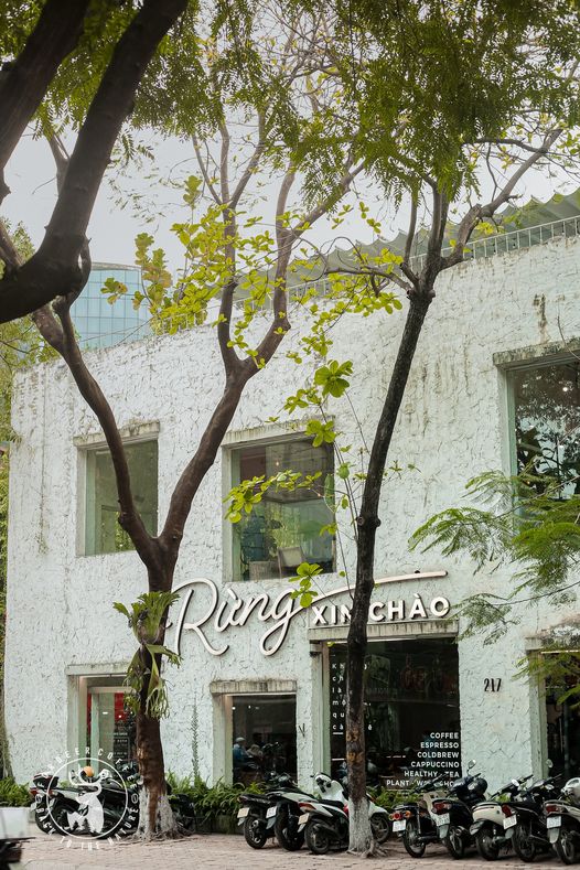 [🆕🇻🇳] Phân Phối – Bán Buôn – Bán Sỉ Vkids 😎❤️️⭐️ – ☘️Buôn_sỉ_SG☘️ Quần bé gái, chất kaki mềm, form to, lưng thun và lưng d …