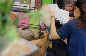 [☕️🇻🇳] Nhã Nam Books N’ Coffee 🥤 Top1Coffee ☕️ Sổ mới vừa về hiệu sách, nhân viên thích thú xếp lên kệ, còn khách đi ngang thì tấm tắc khen xinh. Riêng em Bơ là thấy nó êm.  # , shares-0✔️ , likes-56❤️️ , date-2023-11-09 03:49:29🇻🇳🇻🇳🇻🇳📰🆕