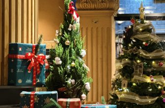 [☕️🇻🇳] B.O.B Coffee 🥤 Top1Coffee ☕️ 𝐂𝐡𝐫𝐢𝐬𝐭𝐦𝐚𝐬 𝐢𝐬 𝐜𝐨𝐦𝐢𝐧𝐠 𝐭𝐨 𝐁.𝐎.𝐁 𝐂𝐨𝐟𝐟𝐞𝐞   #BOBCoffee
#Xmas2023 – – – – – – – –
Đ𝐢̣𝐚 𝐜𝐡𝐢̉ 𝐜𝐚́𝐜 𝐜𝐡𝐢 𝐧𝐡𝐚́𝐧𝐡:
B.O.B Signature – 111 Tô , shares-0✔️ , likes-16❤️️ , date-2023-11-15 13:46:40🇻🇳🇻🇳🇻🇳📰🆕