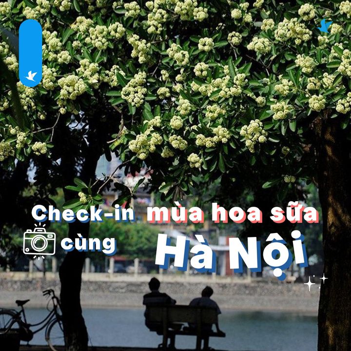 [✈🇻🇳] Traveloka Vietnam – Sống Trải Nghiệm ✈ Top1Travel 🌏 – #TravelokaKhamPha Những điểm check-in siêu xịn cùng hoa sữa thơm nồng nàn khắp Hà …