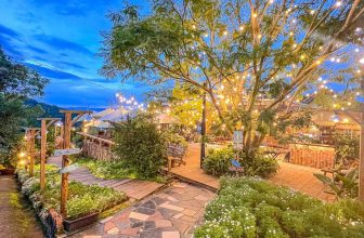 [☕️🇻🇳] Ngày của Nắng Coffee+ 🥤 Top1Coffee ☕️ Đà Lạt, được hôm cuối tuần trong vắt! Dự là hôm nay Hoàng Hôn tuyệt cú mèo, shares-3✔️ , likes-47❤️️ , date-2023-11-18 07:48:39🇻🇳🇻🇳🇻🇳📰🆕