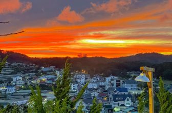 [☕️🇻🇳] Ngày của Nắng Coffee+ 🥤 Top1Coffee ☕️ Tháng 11 – tháng của những buổi chiều đẹp  Chill phải biết, shares-1✔️ , likes-58❤️️ , date-2023-11-19 12:26:20🇻🇳🇻🇳🇻🇳📰🆕