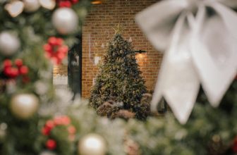 [☕️🇻🇳] DoveZi Coffee 🥤 Top1Coffee ☕️  Ding doong ding doong  Không để homie chờ lâu nữa, tụi mình đã hoàn thành Concept Giáng Sinh 2023 rồi đâyyyyy !!!
Điểm nhấn củ , shares-18✔️ , likes-181❤️️ , date-2023-11-18 12:48:39🇻🇳🇻🇳🇻🇳📰🆕