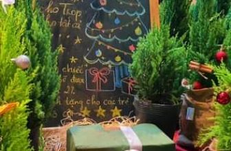 [☕️🇻🇳] ForDeer – Coffee with tree 🥤 Top1Coffee ☕️ Một buổi sáng đầy năng lượng và tràn ngập không khí Giáng Sinh ở Rừng. Các bạn còn đợi gì mà không đến Rừng  ngay thôi nàooo! #R , shares-0✔️ , likes-0❤️️ , date-2023-11-23 03:30:02🇻🇳🇻🇳🇻🇳📰🆕