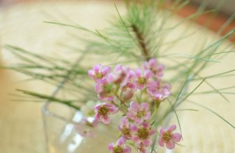 [☕️🇻🇳] PHD Book – Coffee 🥤 Top1Coffee ☕️ 20.11.23
Chúc tất cả thầy cô giáo luôn mạnh khỏe và thật nhiều niềm vui trong cuộc sống!, shares-0✔️ , likes-33❤️️ , date-2023-11-20 04:33:44🇻🇳🇻🇳🇻🇳📰🆕