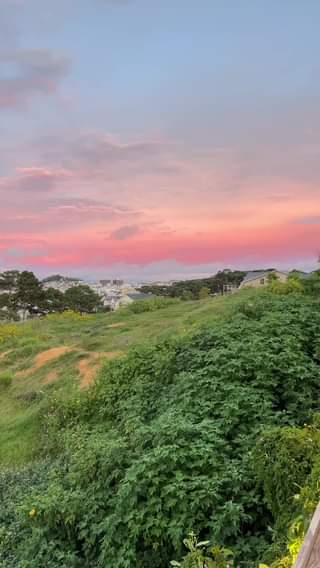 [💫🇻🇳] OVHcloud chạy Black Friday, giảm giá tới 50% server, .COM giá 5$ » Top1Deal