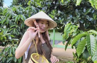 [☕️🇻🇳] Mê Linh Coffee Garden 🥤 Top1Coffee ☕️ Cà phê chín đỏ trong nắng xinh
Ta đi ta lựa trái ngon mang về     Cùng tham gia tour cà phê Coffee Plantation để “Một ngày hóa  , shares-9✔️ , likes-45❤️️ , date-2023-11-20 02:41:04🇻🇳🇻🇳🇻🇳📰🆕
