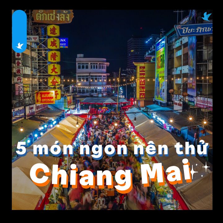 [✈🇻🇳] Traveloka Vietnam – Sống Trải Nghiệm ✈ Top1Travel 🌏 – Nhân dịp tham gia lễ hội thả đèn Yi Peng#TravelokaKhamPha 🥘 Thì tại sao không t …
