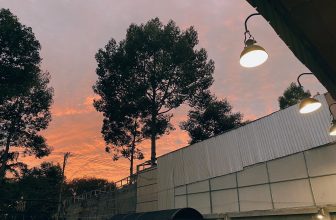 [☕️🇻🇳] 𝐋𝐚 𝐑𝐞̂𝐯𝐞𝐮𝐬𝐞🥤 Top1Coffee ☕️ “Khi thế giới bắt đầu lạnh giá, điều ấm áp nhất chính là nhà.”, shares-10✔️ , likes-160❤️️ , date-2023-11-19 10:45:35🇻🇳🇻🇳🇻🇳📰🆕