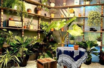 [☕️🇻🇳] 15.22 café – wine – live music 🥤 Top1Coffee ☕️ Top 9 Quán cà phê đẹp và đồ uống ngon nhất Tp. Nha Trang, Khánh Hòa , shares-1✔️ , likes-17❤️️ , date-2023-08-16 09:21:48🇻🇳🇻🇳🇻🇳📰🆕