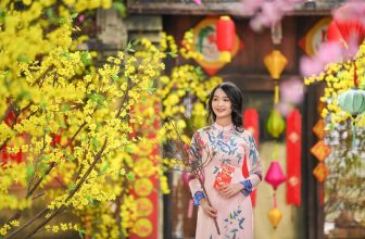 [🆕🇻🇳] 10++ Concept chụp ảnh Tết ngoại cảnh cực ấn tượng năm 2024