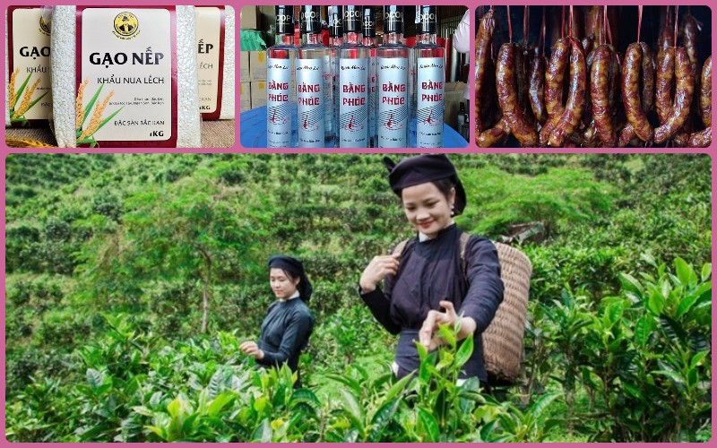 [💪🇻🇳] A.C.E Private Gym – dịch vụ huấn luyện cá nhân chất lượng cao 🏋️ Top1Gym 💪 – Thành quả sau gần 2 tháng tại A.C.E Coaching của Hoa Hậu Vỉa Hè 💯Với quyế …