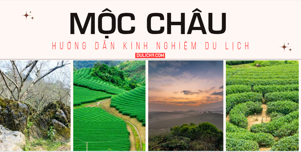 [☕️🇻🇳] Cà Phê Không 🥤 Top1Coffee ☕️  , shares-0✔️ , likes-0❤️️ , date-2023-09-01 03:15:37🇻🇳🇻🇳🇻🇳📰🆕