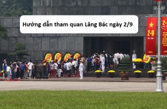 [❤️️🇻🇳] Giờ mở cửa, đi lại