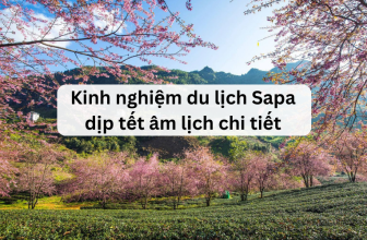[❤️️🇻🇳] Kinh nghiệm du lịch Sapa dịp tết âm lịch chi tiết từ A-Z