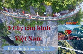 [🆕🇻🇳] 3 Cây cầu kính ở Việt Nam cực hot 2022 bạn không nên bỏ lỡ