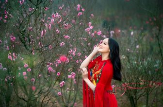 [🆕🇻🇳] Review 10 địa điểm chụp ảnh Tết tại Hà Nội đẹp nhất năm 2024