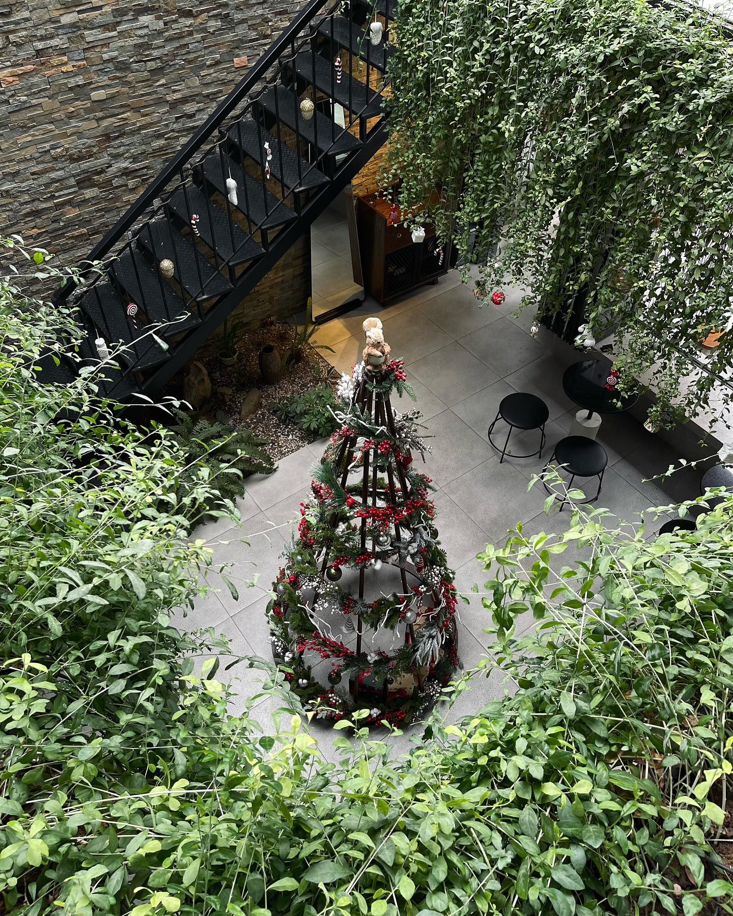 [☕️🇻🇳] La Farine 🥤 Top1Coffee ☕️ 𝐒𝐨𝐦𝐞 𝐭𝐲𝐩𝐢𝐜𝐚𝐥 𝐂𝐡𝐫𝐢𝐬𝐭𝐦𝐚𝐬 𝐟𝐞𝐚𝐭𝐮𝐫𝐞𝐬 𝐨𝐟 𝐨𝐮𝐫 𝐠𝐫𝐞𝐞𝐧𝐞𝐫𝐲 𝐠𝐚𝐫𝐝𝐞𝐧 Lần này thì loading 99% rồi, 1% còn lại là chỉ đợi bạn cùng chiếc áo len  , shares-0✔️ , likes-32❤️️ , date-2023-12-07 13:45:22🇻🇳🇻🇳🇻🇳📰🆕