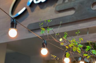 [☕️🇻🇳] Charm Coffee 🥤 Top1Coffee ☕️ Có lúc tưởng thua thiệt
Sau lại hóa ra lời
Hình như là cuộc đời
Không bao giờ bất động !  Như phút trước gió lộng
Mình ngồi  , shares-0✔️ , likes-5❤️️ , date-2023-12-07 10:28:30🇻🇳🇻🇳🇻🇳📰🆕