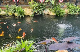 [☕️🇻🇳]  Minh Coffee 🥤 Top1Coffee ☕️ Minh Coffee sáng thứ tư, shares-0✔️ , likes-38❤️️ , date-2023-12-13 01:10:25🇻🇳🇻🇳🇻🇳📰🆕