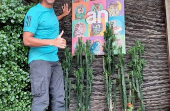 [☕️🇻🇳] An Cafe – Ăn uống và cafe đúng chất Đà Lạt 🥤 Top1Coffee ☕️  Những vị khách tuyệt vời đã đến với An CaFe hè thu vừa qua  _ Đà Lạt 08/12/2023  Great visitors of recent summer autumn at An C , shares-0✔️ , likes-9❤️️ , date-2023-12-08 07:40:05🇻🇳🇻🇳🇻🇳📰🆕