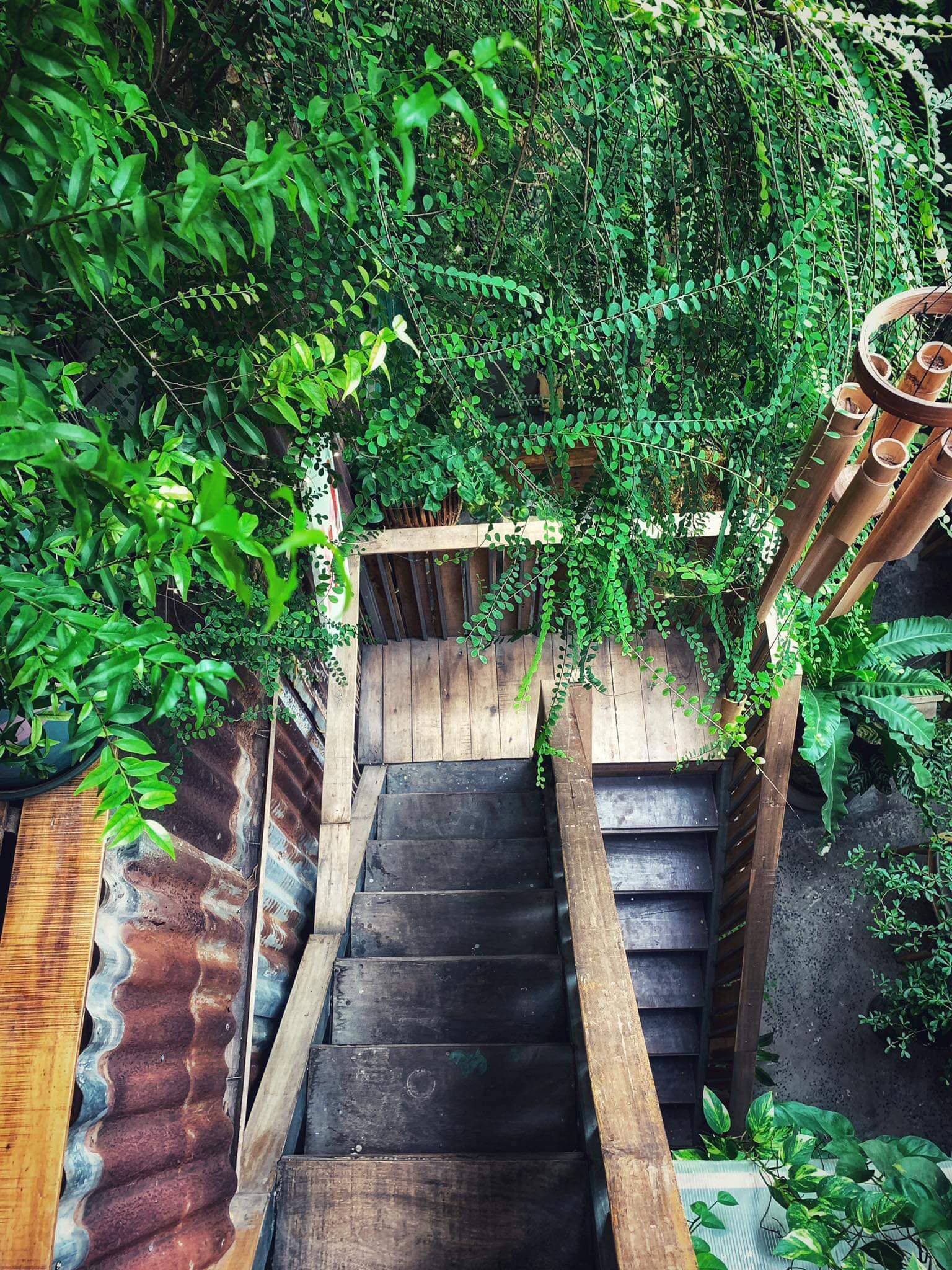 [☕️🇻🇳] 15.22 café – wine – live music 🥤 Top1Coffee ☕️ 𝗡𝗵𝗮̣̂𝗻 𝗵𝗶̀𝗻𝗵 𝗸𝗵𝗮́𝗰𝗵 𝗴𝘂̛̉𝗶, 𝗰𝗵𝘂̣𝗽 𝗰𝗮́𝗰 𝗴𝗼́𝗰 𝗻𝗴𝗼̂̀𝗶 𝗾𝘂𝗲𝗻 𝘁𝗵𝘂𝗼̣̂𝗰 𝗼̛̉ 𝗛𝗼𝗮 𝗬𝗲̂𝗻, 𝗺𝗮̀ 𝗹𝗼̀𝗻𝗴 𝗻𝗵𝘂𝗼̣̂𝗺 𝗺𝗮̀𝘂 𝘅𝗮𝗼 𝘅𝘂𝘆𝗲̂́𝗻
 (ảnh: Doan Hieu , shares-30✔️ , likes-564❤️️ , date-2023-09-22 01:44:23🇻🇳🇻🇳🇻🇳📰🆕