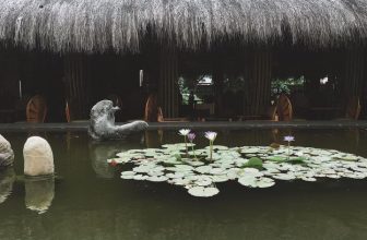 [☕️🇻🇳] CoCo’s Coffee 🥤 Top1Coffee ☕️ #CocosCoffee
57 Nguyễn Hữu Cảnh -Đồng Hới-Quảng Bình
02322468888
06:30-22:00 Monday-Sunday #coffee #coffeetime #chill #nicepla , shares-0✔️ , likes-12❤️️ , date-2023-08-15 23:58:34🇻🇳🇻🇳🇻🇳📰🆕