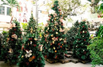 [☕️🇻🇳] Oromia Coffee – Lounge🥤 Top1Coffee ☕️ CHÀO MÙA ĐẸP NHẤT NĂM
HÃY LÊN ĐỒ THẬT XINH ĐỂ CHECK IN CHIẾC VIEW XỊN NÀY NHÉ.   Thể theo yêu cầu và giải đáp thắc mắc của đa  , shares-18✔️ , likes-108❤️️ , date-2023-11-22 12:48:44🇻🇳🇻🇳🇻🇳📰🆕