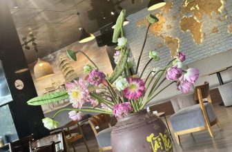 [☕️🇻🇳] Lion Coffee Nam Định 🥤 Top1Coffee ☕️ Lion Coffee Nam Định, shares-0✔️ , likes-16❤️️ , date-2023-09-07 00:50:58🇻🇳🇻🇳🇻🇳📰🆕