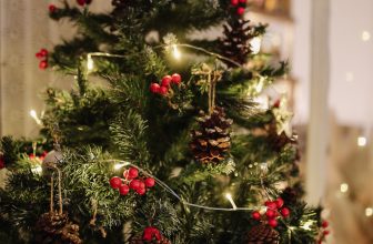 [☕️🇻🇳] OZ Coffee House 🥤 Top1Coffee ☕️  MERRY CHRISTMAS   OZ Coffee House chúc bạn & gia đình một mùa Giáng Sinh an lành, hạnh phúc cũng như lưu giữ vô vàn khoảnh  , shares-1✔️ , likes-23❤️️ , date-2023-12-24 01:00:22🇻🇳🇻🇳🇻🇳📰🆕