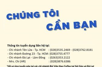 [☕️🇻🇳] Coffee Bùi Văn Ngọ – Đà Lạt 🥤 Top1Coffee ☕️ Các bạn muốn tìm việc làm full time hoặc part time sau Tết? Hãy liên hệ ngay để gia nhập vào team Bùi Văn Ngọ Coffee nhé.
Thông , shares-1✔️ , likes-4❤️️ , date-2023-01-31 03:12:59🇻🇳🇻🇳🇻🇳📰🆕