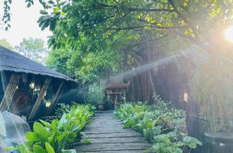 [☕️🇻🇳] CoCo’s Coffee 🥤 Top1Coffee ☕️ Nắng ban mai  #CocosCoffee
57 Nguyễn Hữu Cảnh -Đồng Hới-Quảng Bình
02322468888
06:30-22:00 Monday-Sunday #coffee #coffeetime # , shares-0✔️ , likes-7❤️️ , date-2023-07-31 00:47:05🇻🇳🇻🇳🇻🇳📰🆕