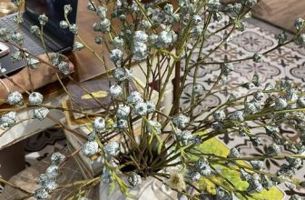 [☕️🇻🇳] Tungbook Coffee Hà Nội 🥤 Top1Coffee ☕️ Một chiếc hoa đẹp cho một ngày mưa Hà Nội…., shares-0✔️ , likes-21❤️️ , date-2023-09-14 13:54:33🇻🇳🇻🇳🇻🇳📰🆕