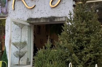 [☕️🇻🇳] ForDeer – Coffee with tree 🥤 Top1Coffee ☕️ Rừng có những góc học tập siêu chill chờ bạn qua  #rừng_trú_ẩn #rừng_xin_chào, shares-0✔️ , likes-0❤️️ , date-2023-12-08 04:13:48🇻🇳🇻🇳🇻🇳📰🆕