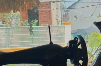 [☕️🇻🇳] Nhà SaiGon Homestay – Coffee 🥤 Top1Coffee ☕️ Ngày bình yên tại Nhà SaiGon!#nhasaigoncoffee #nhasaigonhomestay #quancaphedep #coffeetiktok #nhasaigon #nhasaigonhomestayandcof , shares-0✔️ , likes-0❤️️ , date-2023-11-24 07:01:32🇻🇳🇻🇳🇻🇳📰🆕