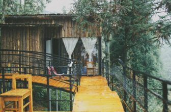 [☕️🇻🇳] Coóng Coffee Homestay  🥤 Top1Coffee ☕️ Trải nghiệm “ ngôi nhà giữa rừng thông” cùng những ưu đãi khủng đến từ Coóng:  -Giảm giá ngay 10% dịch vụ đồ ăn, đồ uống với nhữ , shares-0✔️ , likes-15❤️️ , date-2023-12-01 08:28:14🇻🇳🇻🇳🇻🇳📰🆕