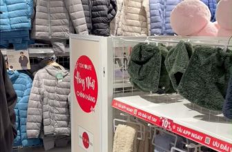 [💼🇻🇳] Tuyển Dụng TokyoLife  👁 Top1Jobs👥 [T-Fun] – Nếu không biết vụ này, bạn xứng đáng được bảo tồn, shares-0✔️ , likes-0❤️️ , date-2023-12-13 13:00:48🇻🇳🇻🇳🇻🇳📰🆕