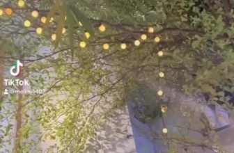 [☕️🇻🇳] Hạ An Corner – Trà – Bánh – Cafe – Piano 🥤 Top1Coffee ☕️ Thích cái cách mà bạn ấy mê quán. Cảm ơn vị khách đáng iu đã gửi tặng nhà tớ chiếc clip này.  𝗛𝗮̣ 𝗔𝗻 𝗖𝗼𝗿𝗻𝗲𝗿  [𝒯𝓇𝒶̀ – ℬ𝒶́𝓃𝒽 – 𝒞𝒶̀ , shares-0✔️ , likes-0❤️️ , date-2023-12-03 04:38:32🇻🇳🇻🇳🇻🇳📰🆕