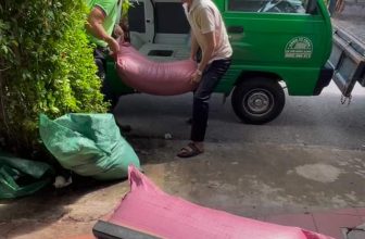 [☕️🇻🇳] Cà phê Đồng Xanh – Greenfields Coffee 🥤 Top1Coffee ☕️  , shares-0✔️ , likes-0❤️️ , date-2023-11-30 05:47:56🇻🇳🇻🇳🇻🇳📰🆕