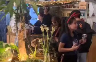 [☕️🇻🇳] An Cafe – Ăn uống và cafe đúng chất Đà Lạt 🥤 Top1Coffee ☕️  An CaFe is entering December 2023
·, shares-0✔️ , likes-0❤️️ , date-2023-12-04 06:36:17🇻🇳🇻🇳🇻🇳📰🆕