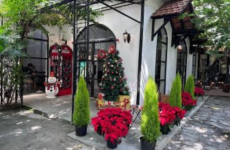 [☕️🇻🇳] Saigon Coffee Roastery 🥤 Top1Coffee ☕️ Hello December !!!
Xmas is coming everywhere !
……….
#xmascomingsoon
#saigoncoffeeroastery
·, shares-0✔️ , likes-13❤️️ , date-2023-12-01 06:08:31🇻🇳🇻🇳🇻🇳📰🆕